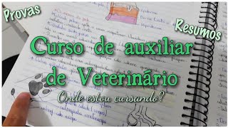 Estou fazendo um curso online de Auxiliar de Veterinário🐾  onde faço resumos prova [upl. by Boyse466]