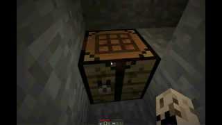 Best Minecraft Hunger Games Server 247 No Lag [upl. by Legnaros307]