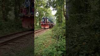 Jamalpur Commuter train going in vawal national forest railexpress expresstrain easternrailways [upl. by Ecinrev]