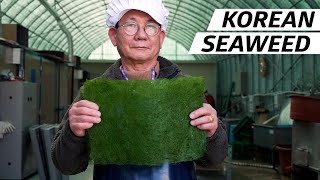 How Seaweed Harvesters Create One of Koreas Most Precious Fine Dining Ingredients — Vendors [upl. by Julian]