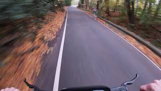 Raging the P1 Pro in some country lanes [upl. by Nnav]