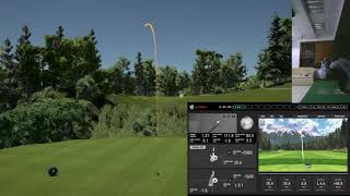 1000 Best Golf Simulators At Home and Putters for 2021 [upl. by Nonnahc]