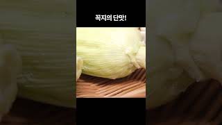 옥수수 가스불에 찌지 마세요 여기에 넣으면 끝 인생레시피 [upl. by Ecnal]