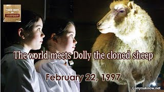 The world meets Dolly the cloned sheep  February 22 1977 This Day in History [upl. by Assiren161]