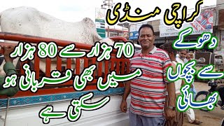 Malir mandi Cattle Rate Update Today 9June2024  Cow Mandi ❤️  Naseeb Ka Soda [upl. by Sherm]