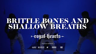 Royal Hearts  Brittle Bones and Shallow Breaths Official Music Video [upl. by Enneira]