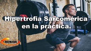 Hipertrofia sarcomérica en la práctica Parte 2 [upl. by Alek]