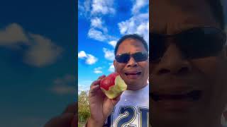 Nabigla ako sa dami ng Apple dine applepicking foryou subscrib amazing Travelblog460 [upl. by Uol]