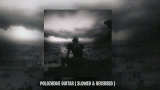 Polozhenie Guitar 1hour Version  Slowed amp Reverbed   Slowed amp Reverbed Pedia 🎢 [upl. by Oloap]