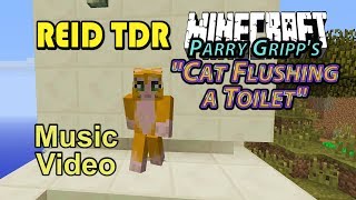 Parry Gripp quotCat Flushing a Toiletquot  Minecraft Fan Music Video by ReidTDR RylanTDR and DaddyDroyd [upl. by Anaeco]