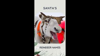 All Santas Reindeer Names 🎅 shorts [upl. by Radferd]