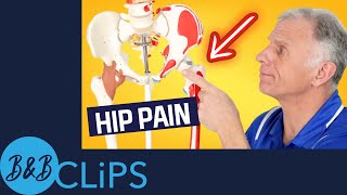 Is Your Hip Pain Coming From Your Back pt 3 YT [upl. by Jaquenette466]