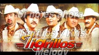 SI NO ES AHORA TIGRILLOS Y KRIS MELODY [upl. by Gratiana342]