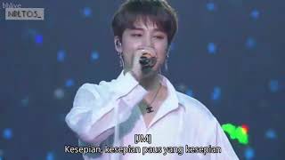 BTS  WHALIEN 52 INDO SUB [upl. by Nauqad]