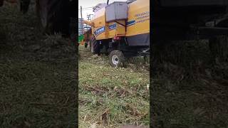 new holland AC cbine harvester mung katai tractor trending viralshortytshortkartar [upl. by Llevol]