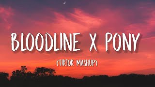 Bloodline X Pony Lyrics Tiktok Mashup  Ariana Grande x Ginuwine [upl. by Ytinav]