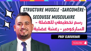 Partie 1  Structure muscle sarcomèresecousse musculaire رسم تخطيطي للعضلة  الساركومير رعشة [upl. by Niro443]