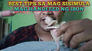 BEST TIPS SA MAG SISIMULA MAG HANDFEED NA IBON [upl. by Ahsiad]