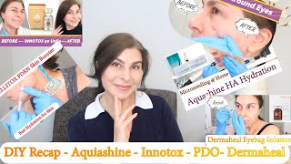 DIY Recap Summer 2023  Aquashine Innotox DermaHeal Eyebag Solution Wellstox PDRN  PDOThreadsDIY [upl. by Yngad]