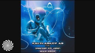 Kalilaskov AS amp Damender  Acid Prove vGren Remix [upl. by Eatnwahs158]