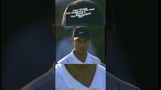 Tiger Woods  TPC Sawgrass 17th Hole  Round 3  The Players Championship 2001 [upl. by Alejandra]