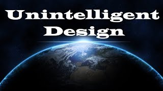 Unintelligent Design A Sacrilegious Rant [upl. by Cordie]