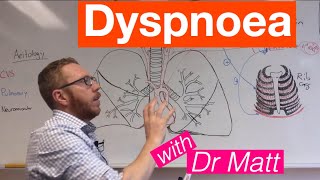 Dyspnoea  Respiratory System [upl. by Euqcaj]