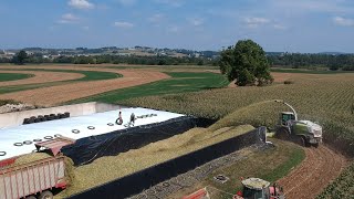 Filling all 3 Bunks in ONE DAY  Corn Silage Harvest 2023 [upl. by Morita124]