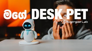 මගේ DESK PET  Eilik Companion Robot energizelab [upl. by Barb218]