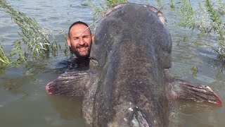 GIGANTESCO SILURO RECORD 120 kg x 263 mt RIVER MONSTER  HD by YURI GRISENDI [upl. by Rezal]