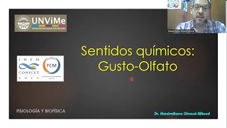 Fisiología neurológica Sentidos químicos [upl. by Dovev]