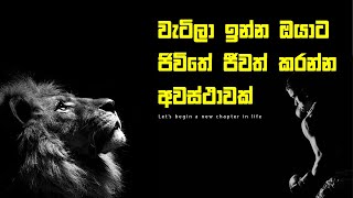 How Low Points Can Lead to a More Purposeful Life  වැටිලා ඉන්න ඔයාට ජිවිතේ ජීවත් කරවන්න අවස්තාවක් [upl. by Swetlana]