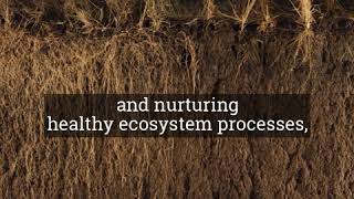 How to Improve Soil Health in 60 Seconds [upl. by Anua]