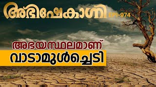 അഭയസ്ഥലമാണ് വാടാമുൾച്ചെടി  ABHISHEKAGNI  EPISODE  974 [upl. by Godderd178]