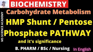 HMP Shunt and its Significance Pentose phosphate pathwayBiochemistryB PharmacyBScNursing [upl. by Ranitta]