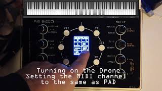 The NDLR  a PAD demo with easy to see and hear notes [upl. by Shepley]