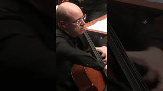 Brahms Double Concerto Alina Ibragimova amp Jesper Svedberg orchestra violin cello livemusic [upl. by Teferi]