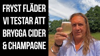 Cider och champagne på frysta fläderblommor [upl. by Atiuqad]