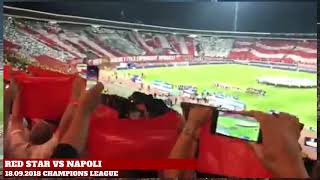 Red Star vs Napoli Ultras highlights [upl. by Icram]