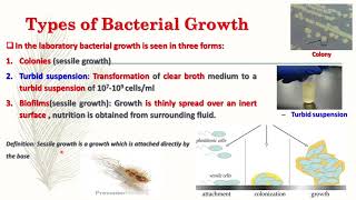 Microbiology Lecture 8 Bacterial Growth [upl. by Doll]