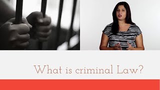 What Is Criminal Law [upl. by Notyep]