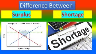 Difference Between Surplus and Shortage [upl. by Ollie720]