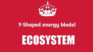 YShaped Energy Flow Model Lecture 77 [upl. by Calderon]