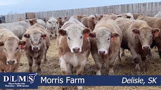 DLMS Direct  Morris Farm [upl. by Dulcle138]