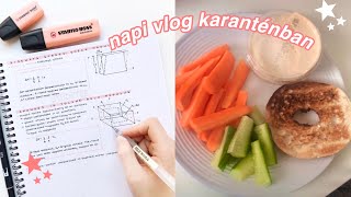 napi vlog karantén amp online suli [upl. by Eldwen]