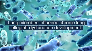 Chronic lung allograft dysfunction is linked to lung microbial community composition [upl. by Ahsatsan303]