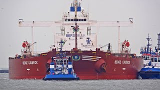 METHANOL POWERED LAURA MAERSK AND 317m LONG BULK CARRIER ARRIVES IN ROTTERDAM  4K SHIPSPOTTING 2023 [upl. by Fredek]