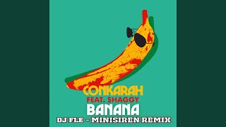 Banana feat Shaggy DJ FLe Minisiren Remix [upl. by Nadnarb]