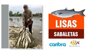 🐟 Pesca de sabaletas y lisas de agua dulce en Ecuador 2018 [upl. by Brownley344]