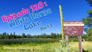 Episode 120 Car Camping at White Horse Lake Arizona Part 2 [upl. by Lertnahs456]